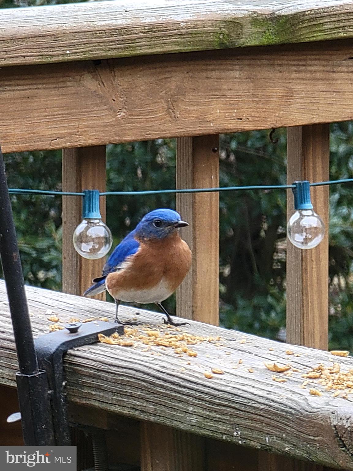 3915 LONGMOOR CIRCLE