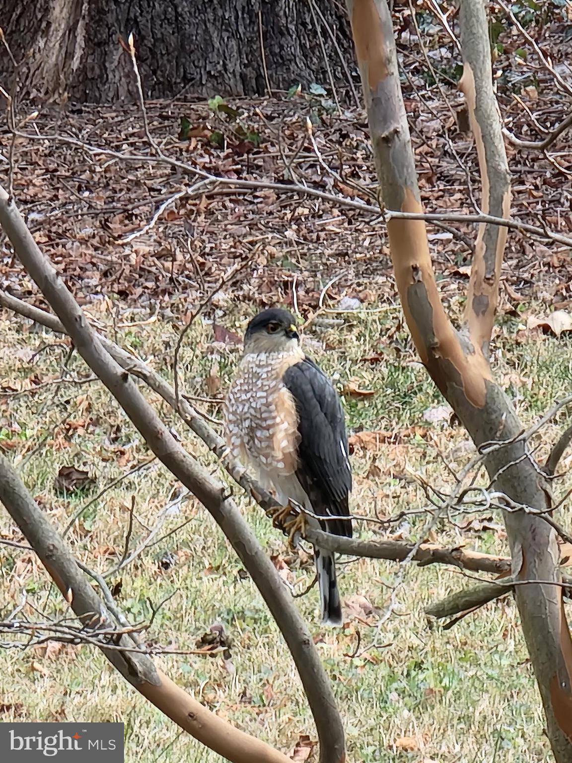 3915 LONGMOOR CIRCLE