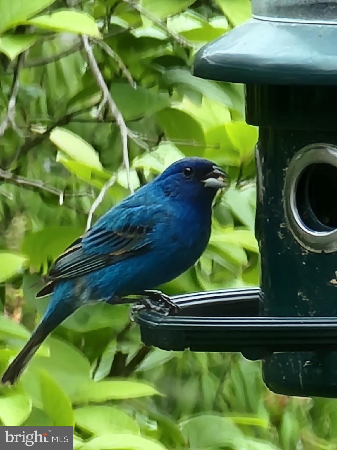 3915 LONGMOOR CIRCLE