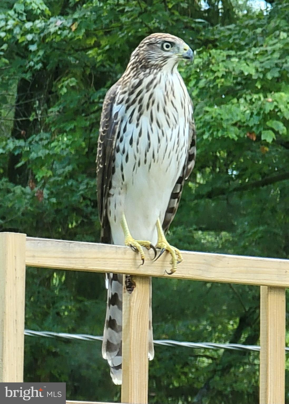 3915 LONGMOOR CIRCLE