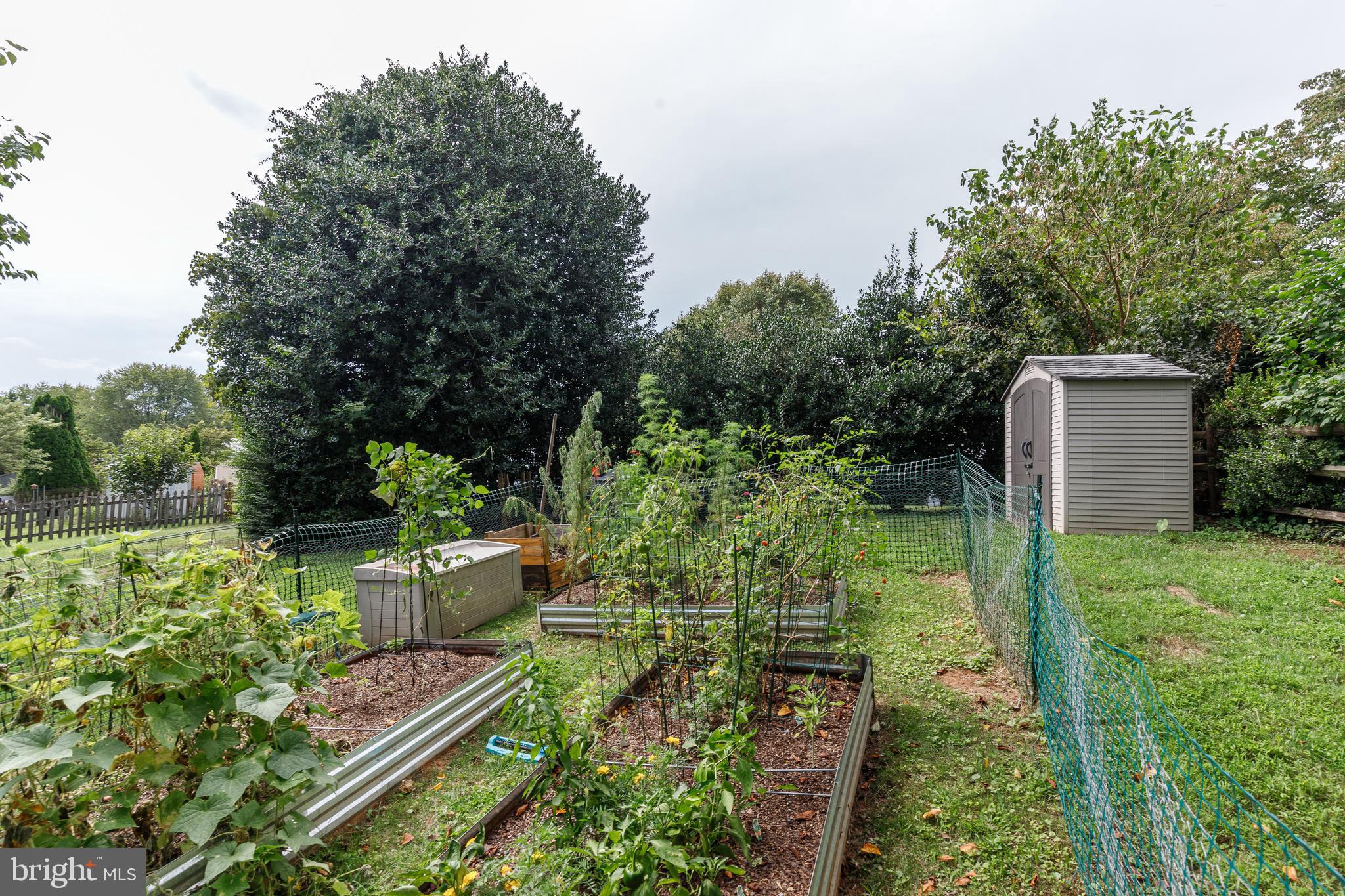 20550 NEERWINDER STREET