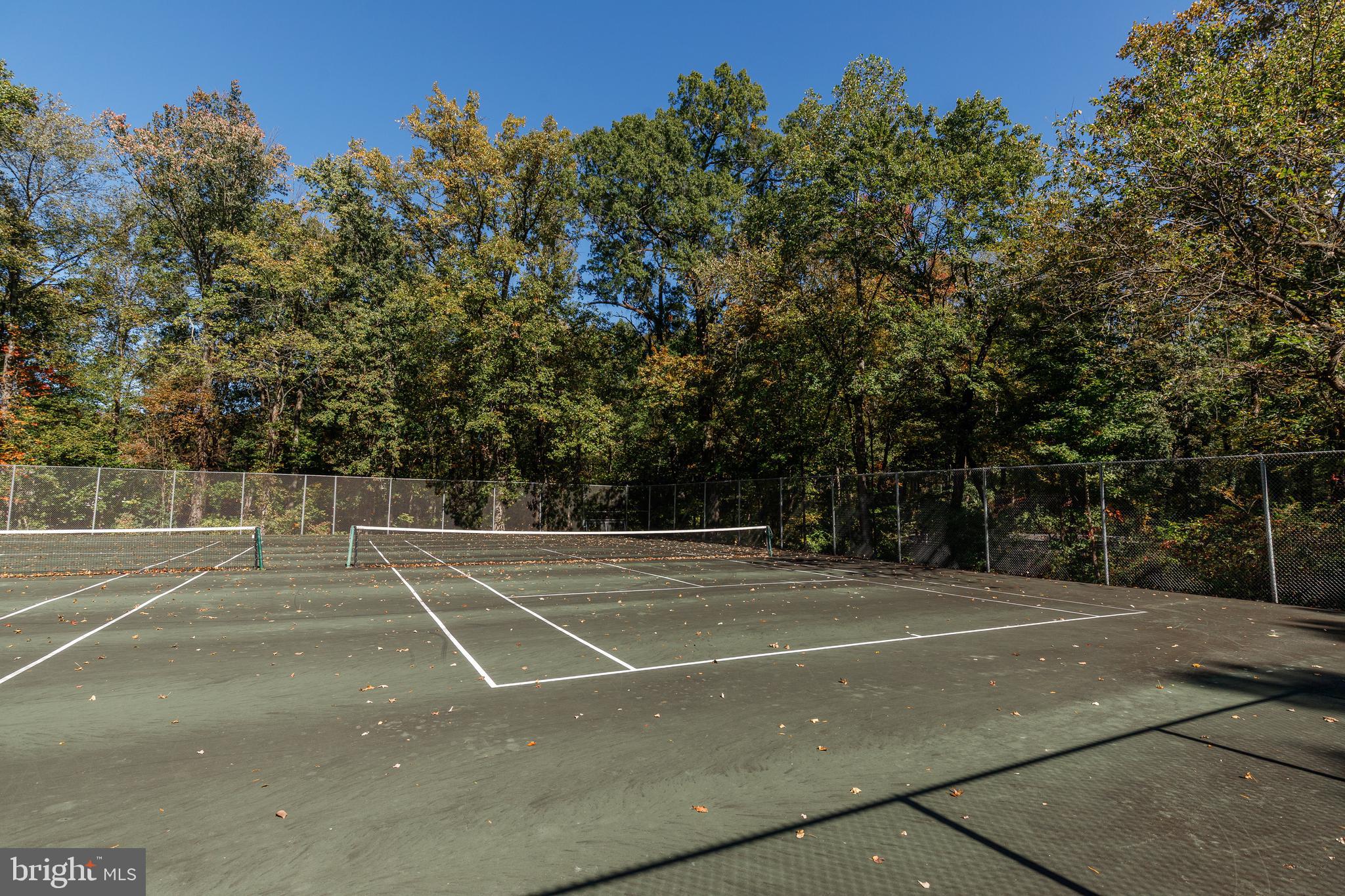 8216 MONTPELIER DRIVE