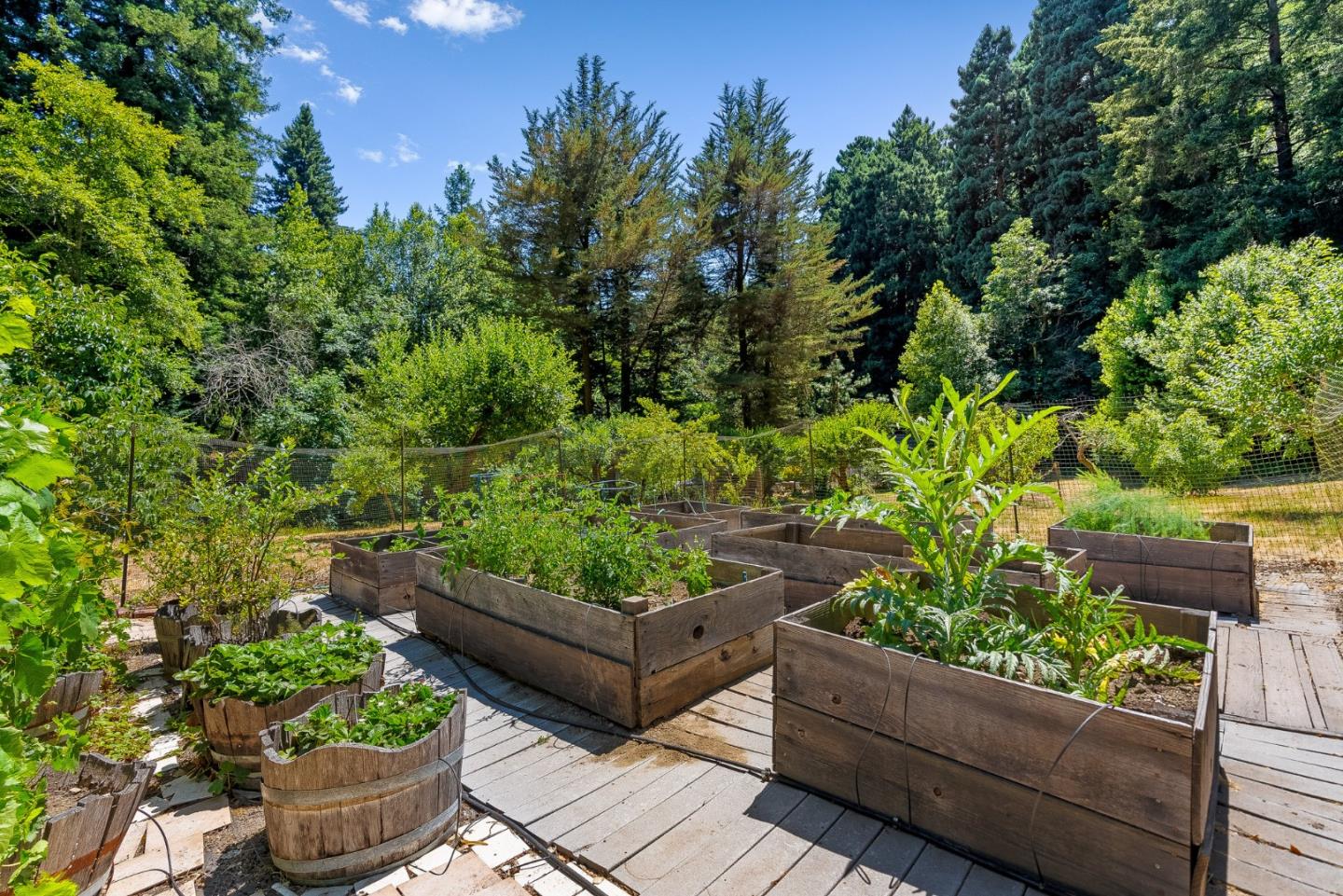 2538 Bean Creek Road