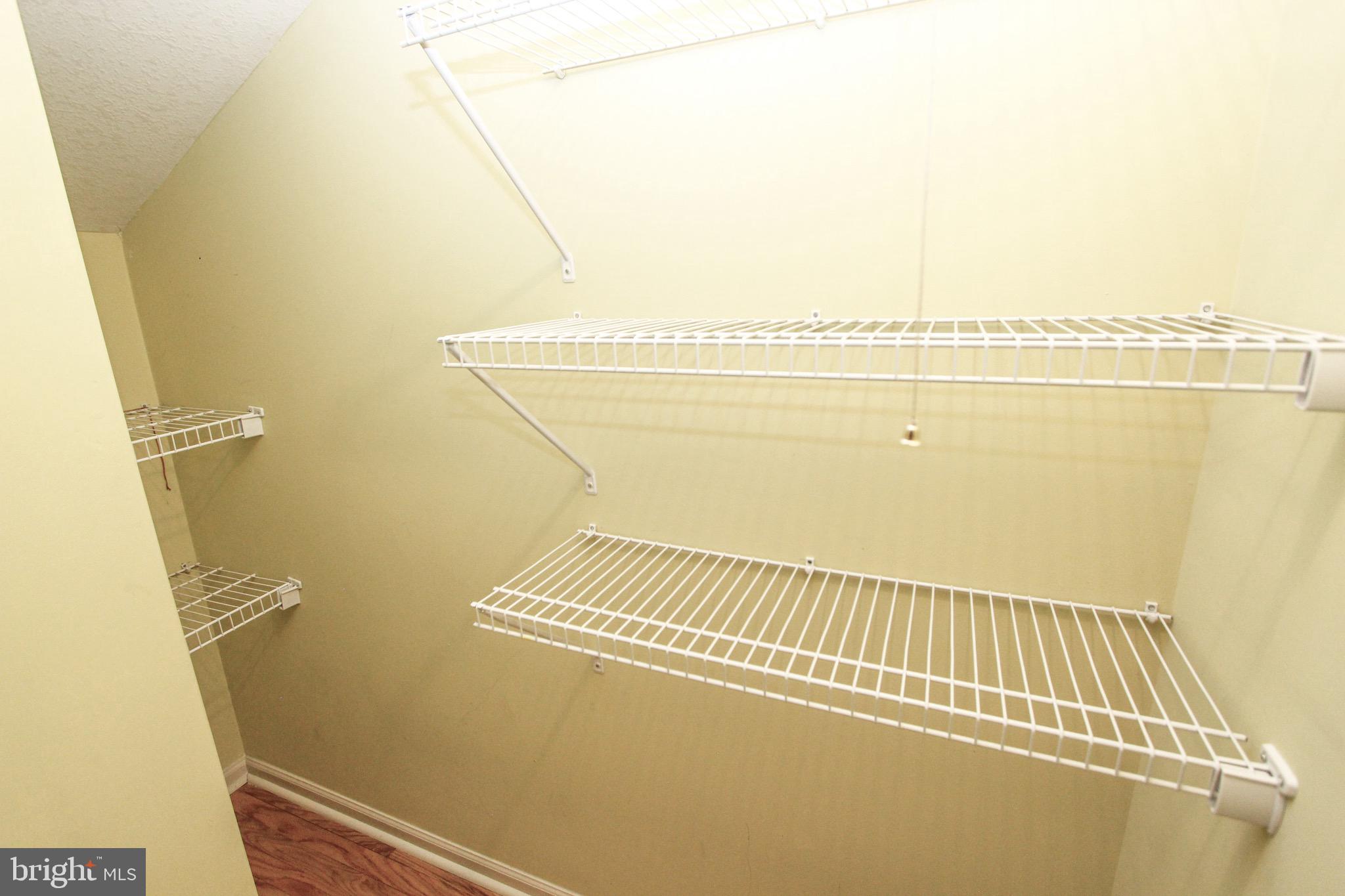 515 ABRAMS COURT