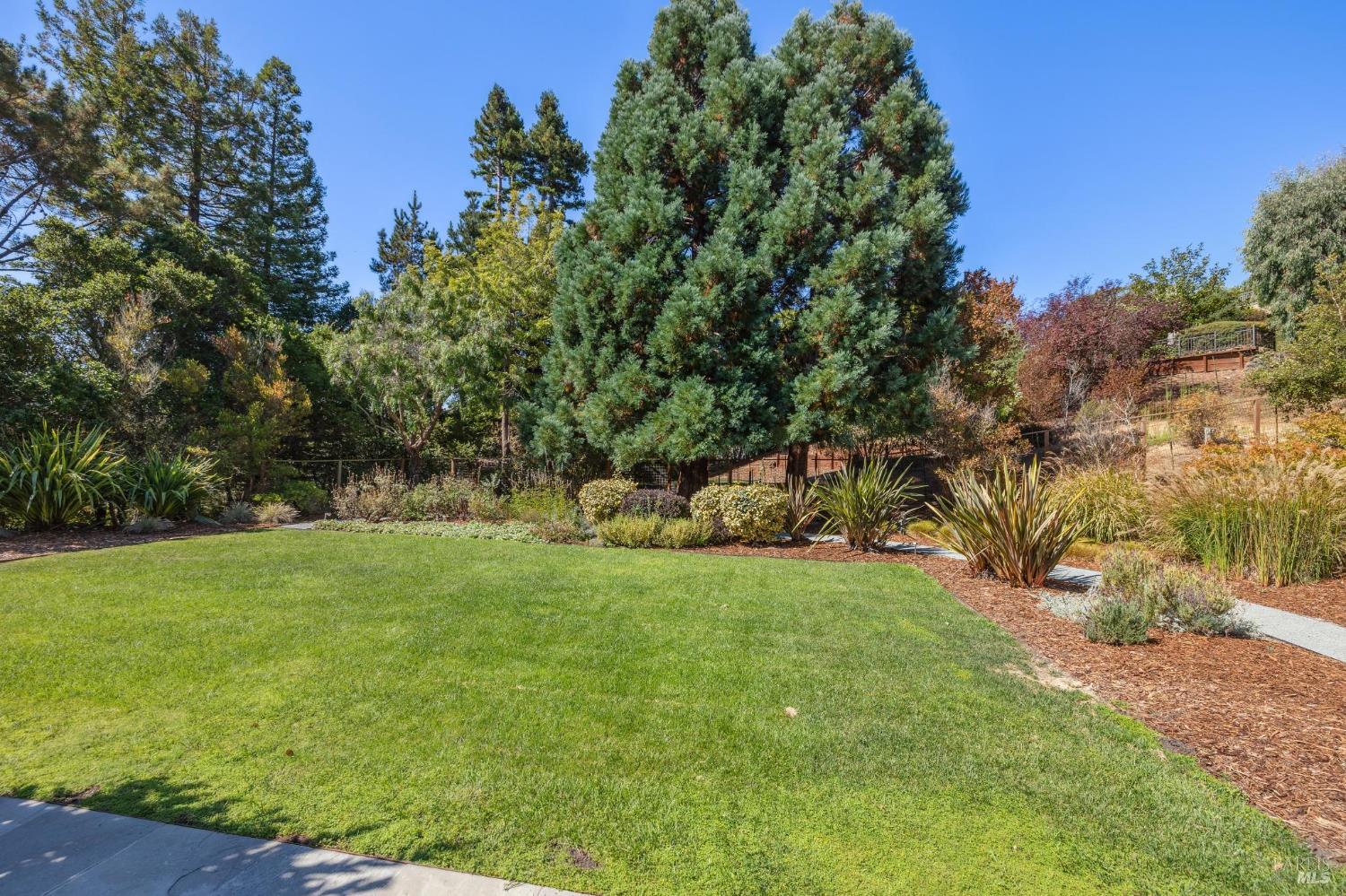 103 Reed Ranch Rd