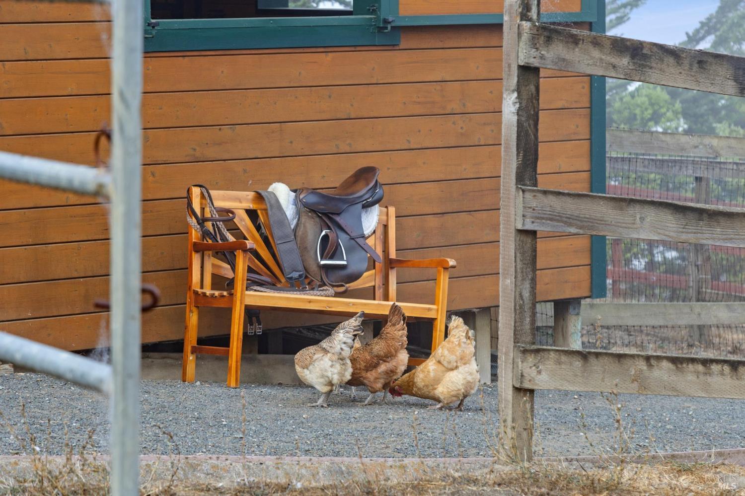 6381 Nicasio Valley Road