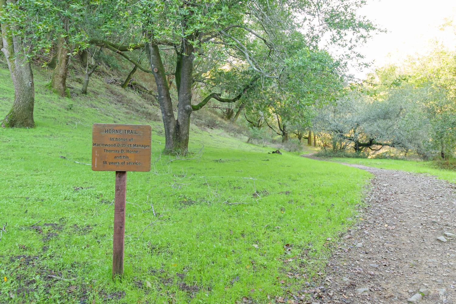 71 Roundtree Boulevard