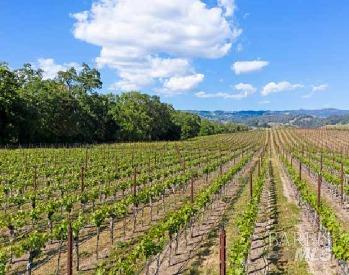 5566 Highway 128 Highway