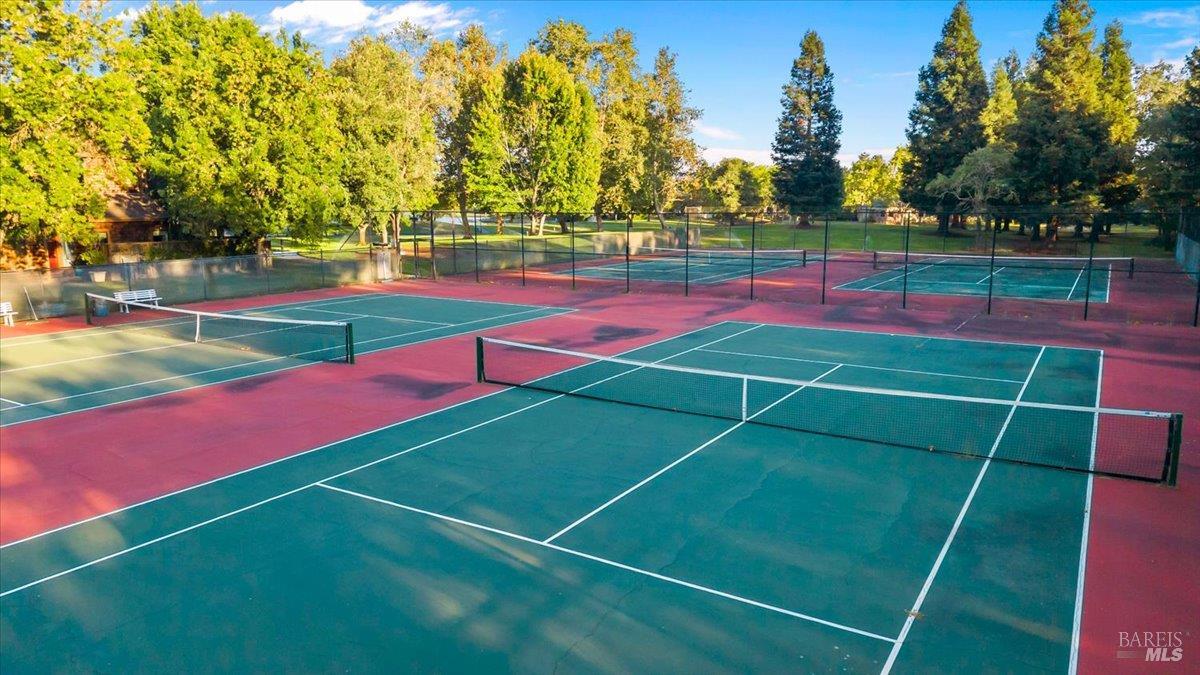 316 Windflower Court