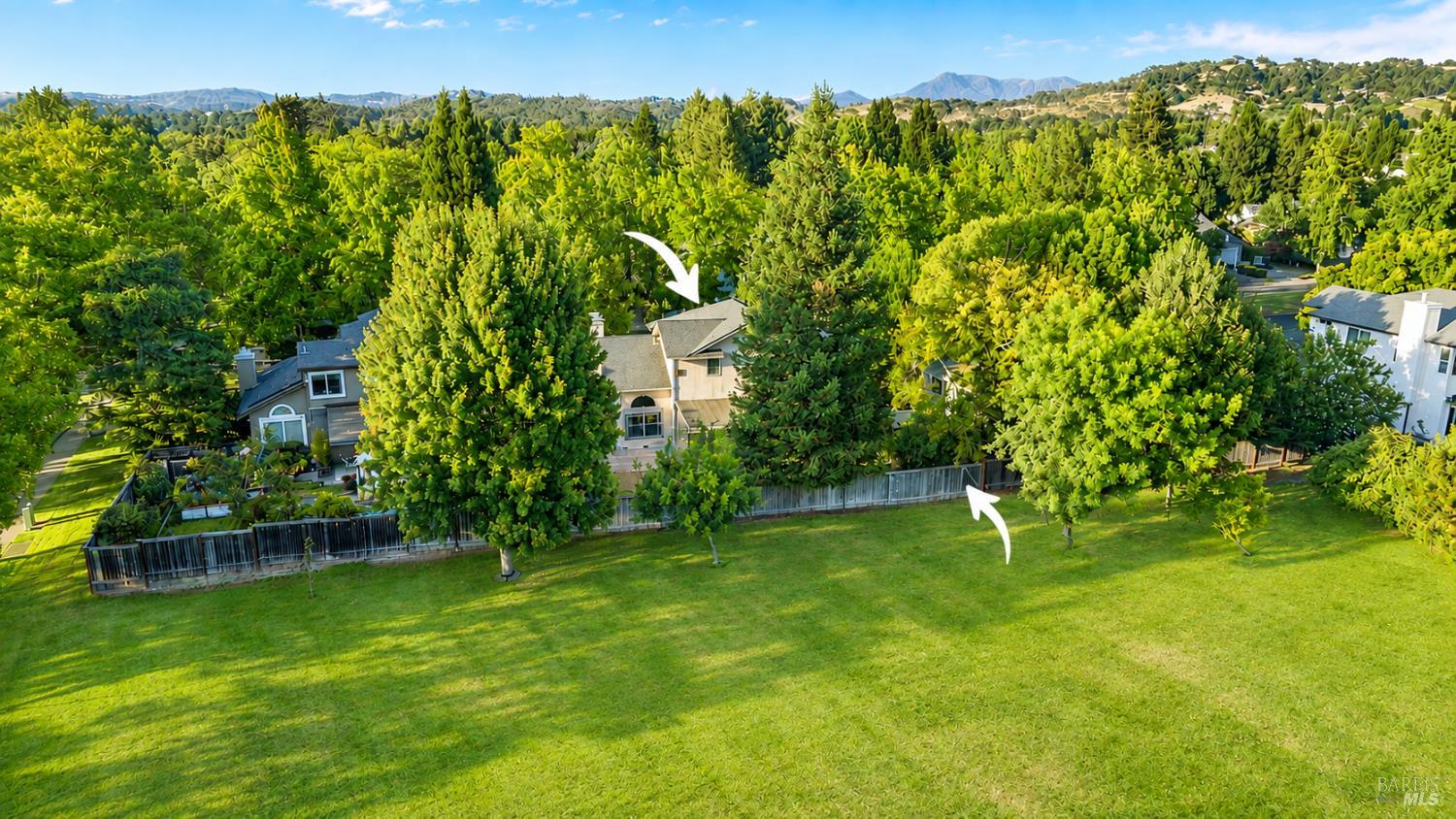 316 Windflower Court