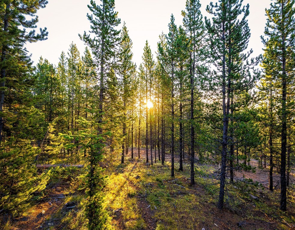 Lot 8 Highlands West