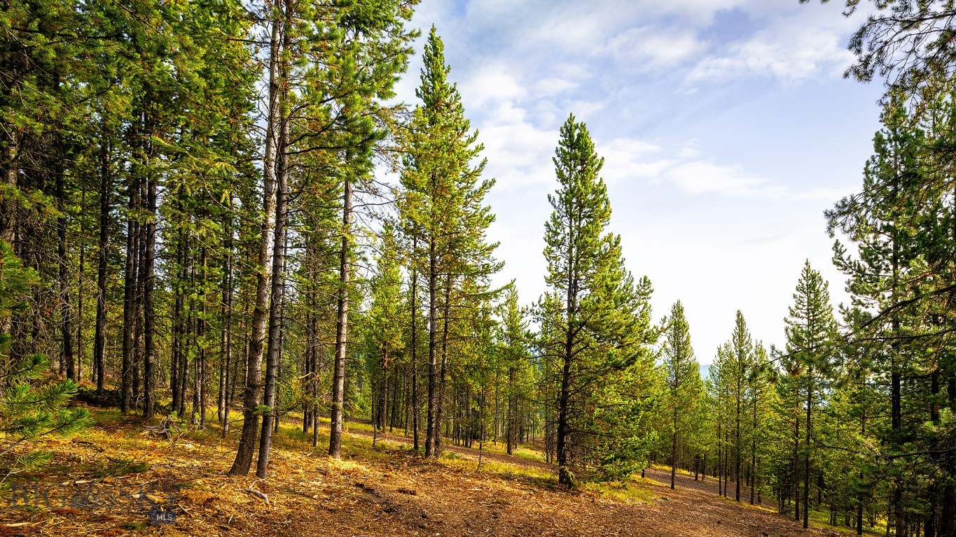 Lot 8 Highlands West