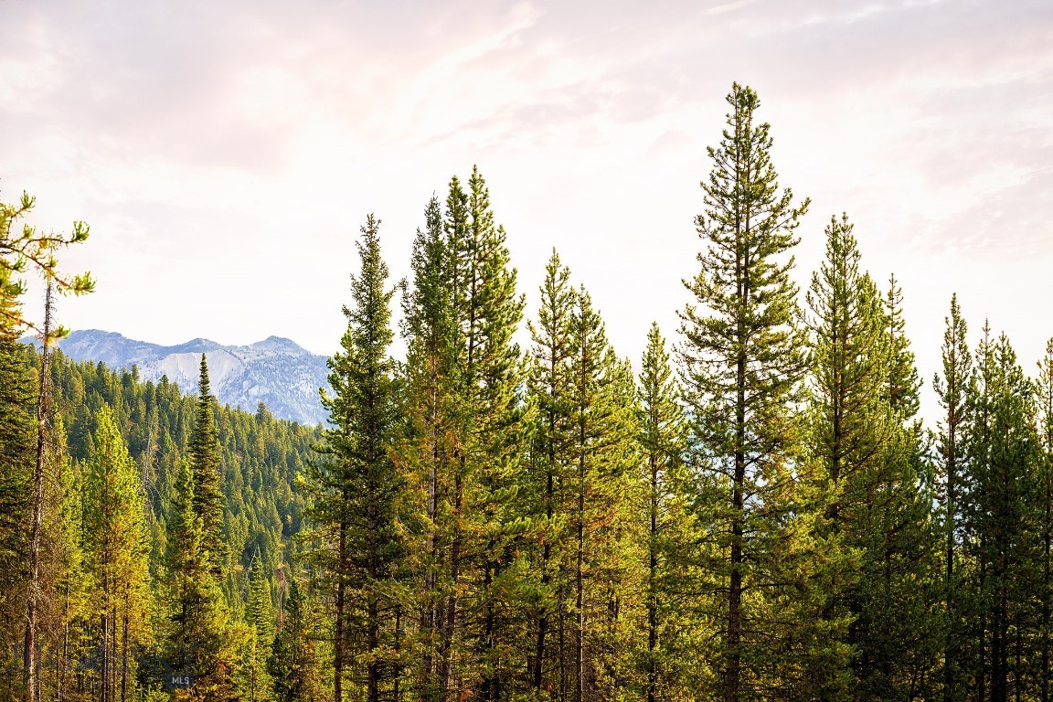 Lot 8 Highlands West