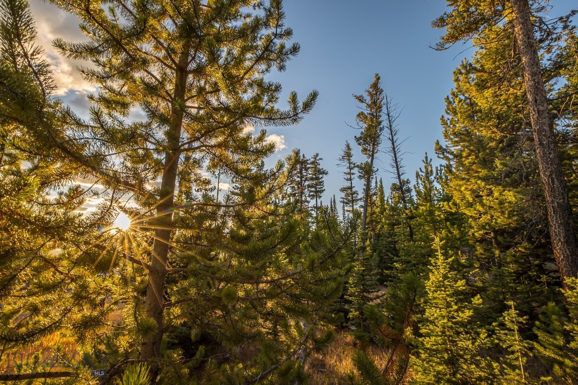 TBD Old Moose Fork Lot 134