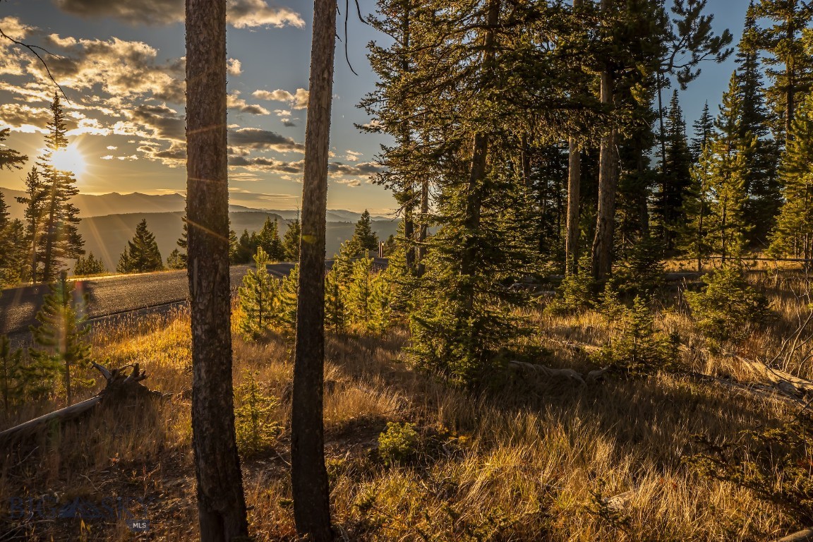 TBD Old Moose Fork Lot 134