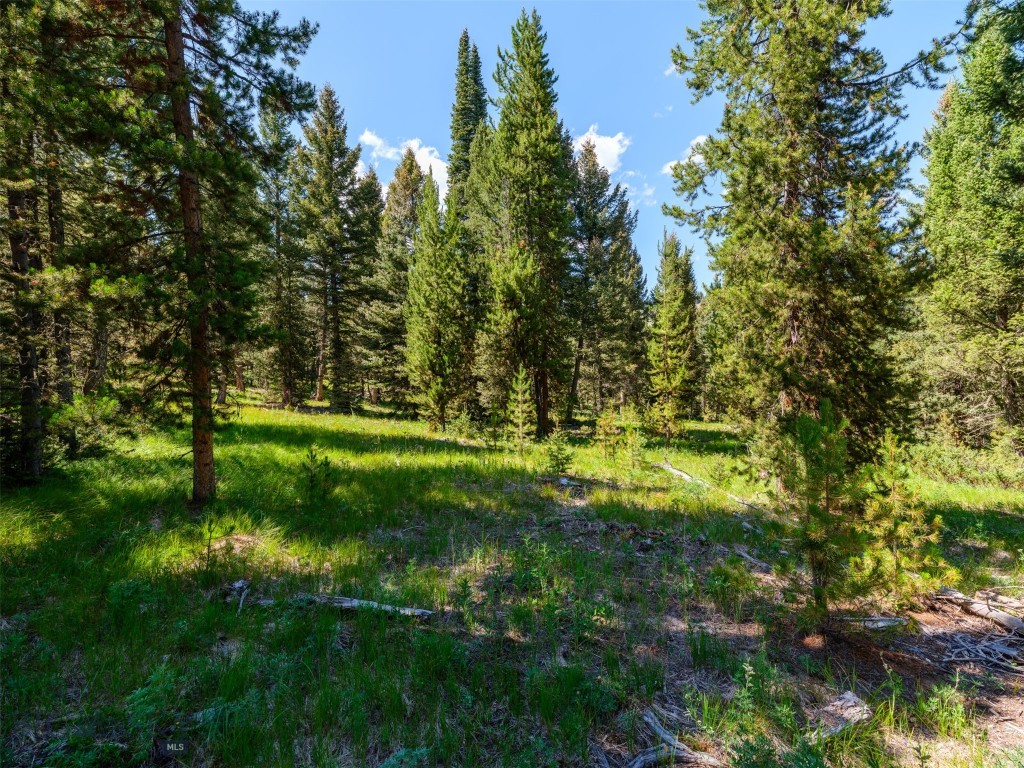 TBD Settlers Loop Lot 91