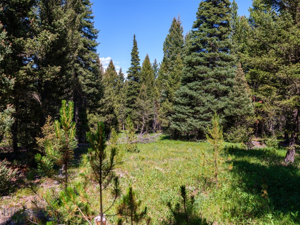 TBD Settlers Loop Lot 91