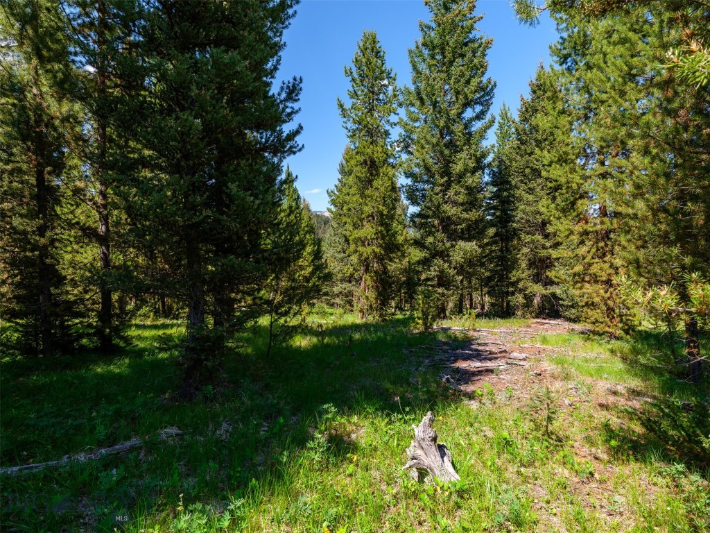 TBD Settlers Loop Lot 91