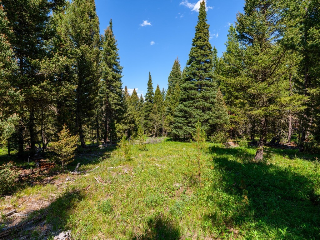 TBD Settlers Loop Lot 91