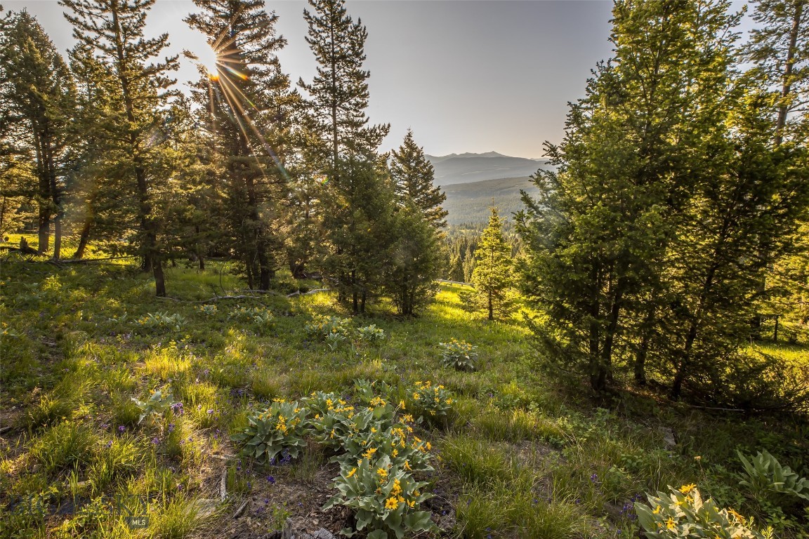 TBD Doolittle Drive Lot #31