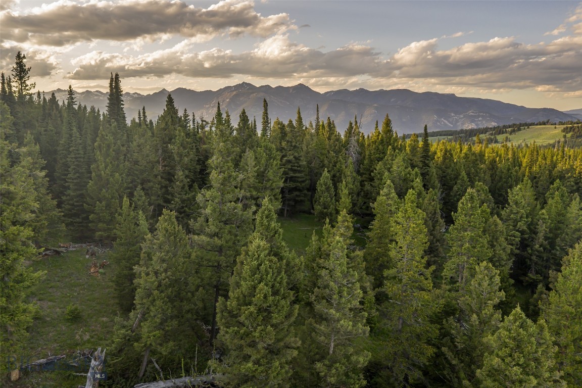 TBD Doolittle Drive Lot #31