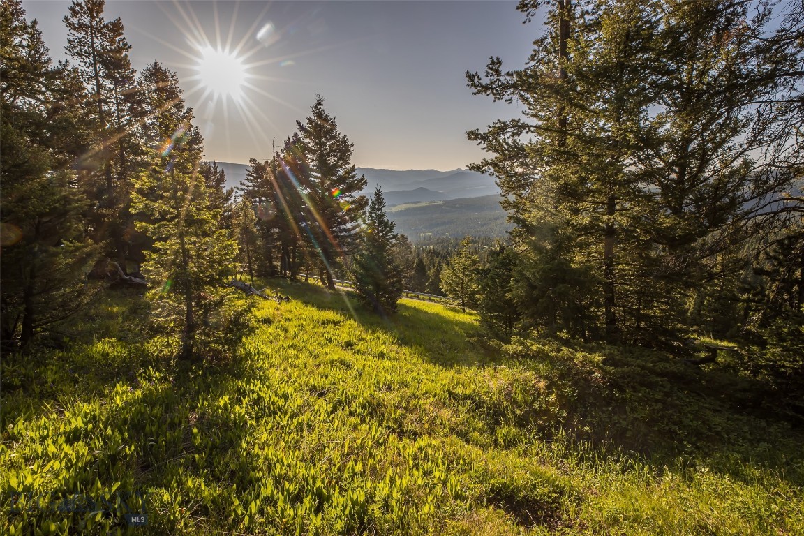 TBD Doolittle Drive Lot #31