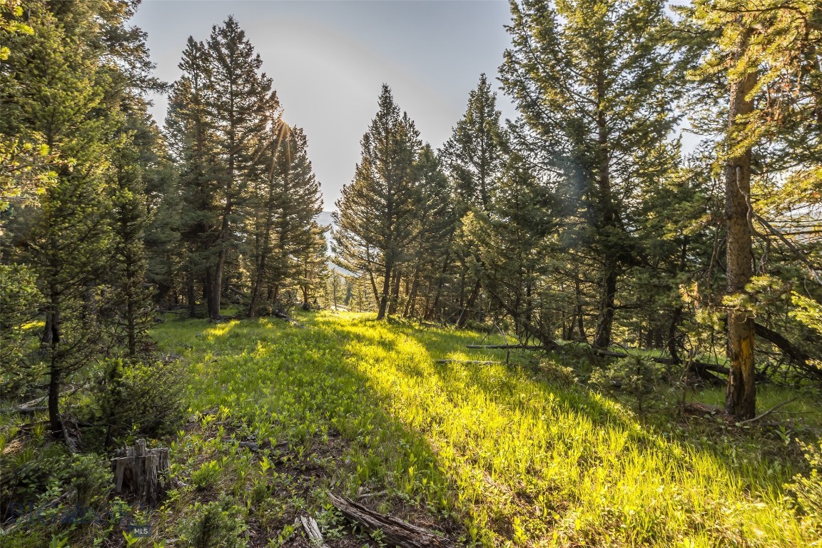 TBD Doolittle Drive Lot #31