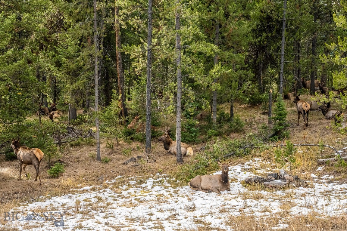 TBD Crown Butte, Lot 88