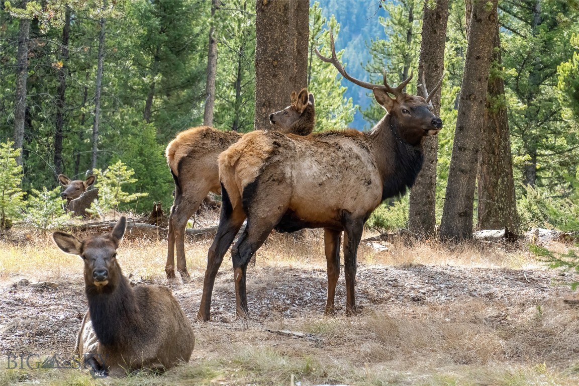 TBD Crown Butte, Lot 88