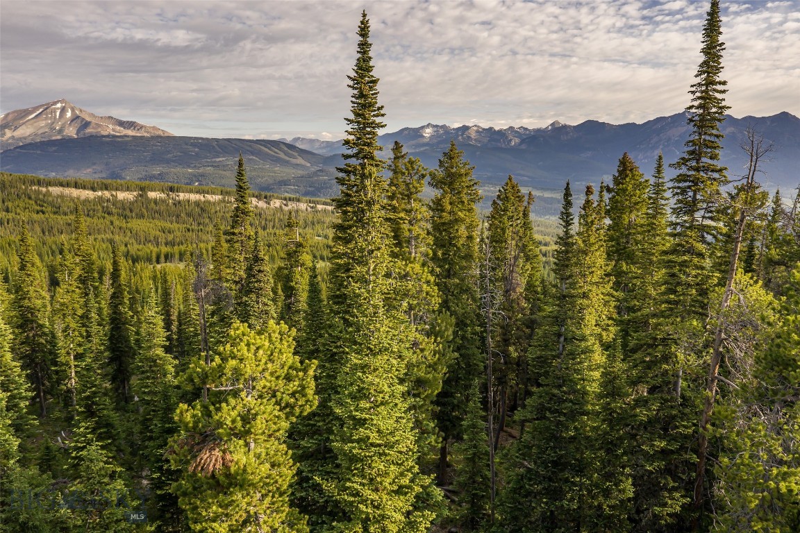 Big EZ Lot 34 Doolittle Drive