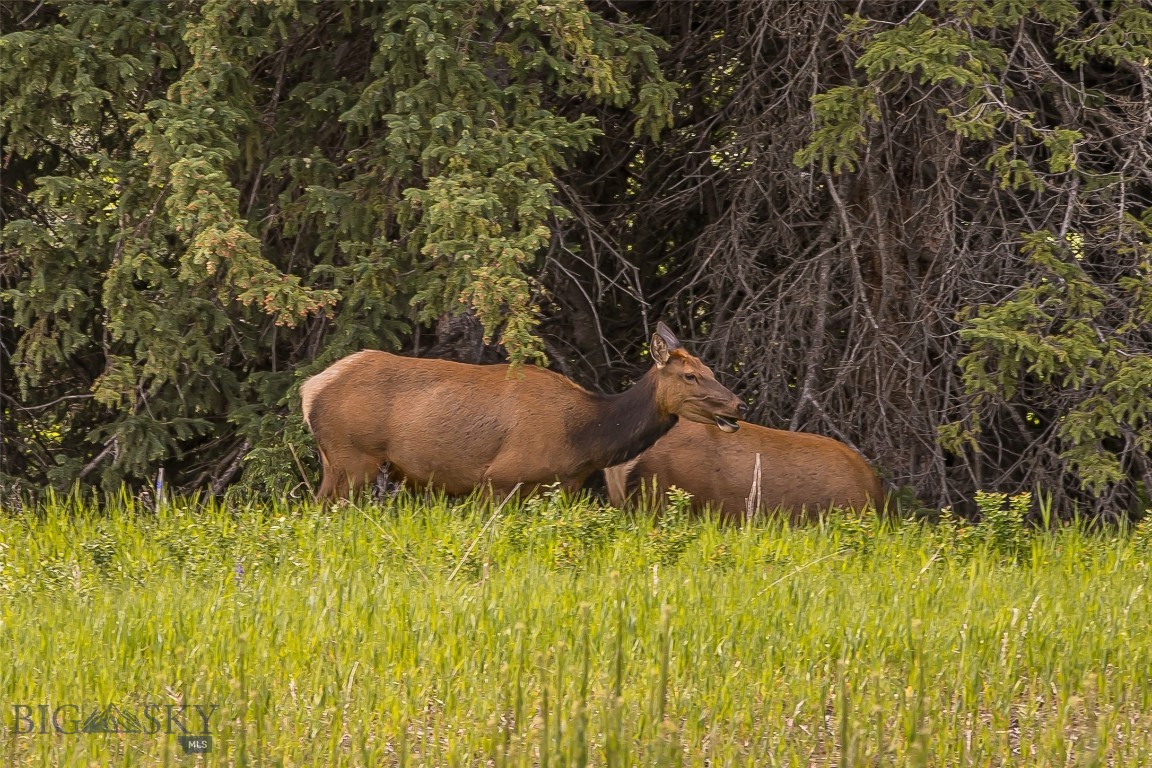 17 Chief Joseph Trail