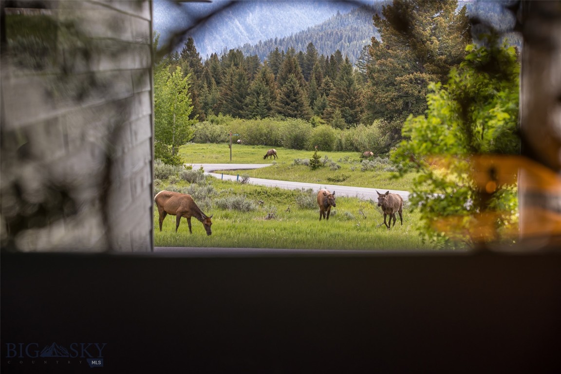 17 Chief Joseph Trail