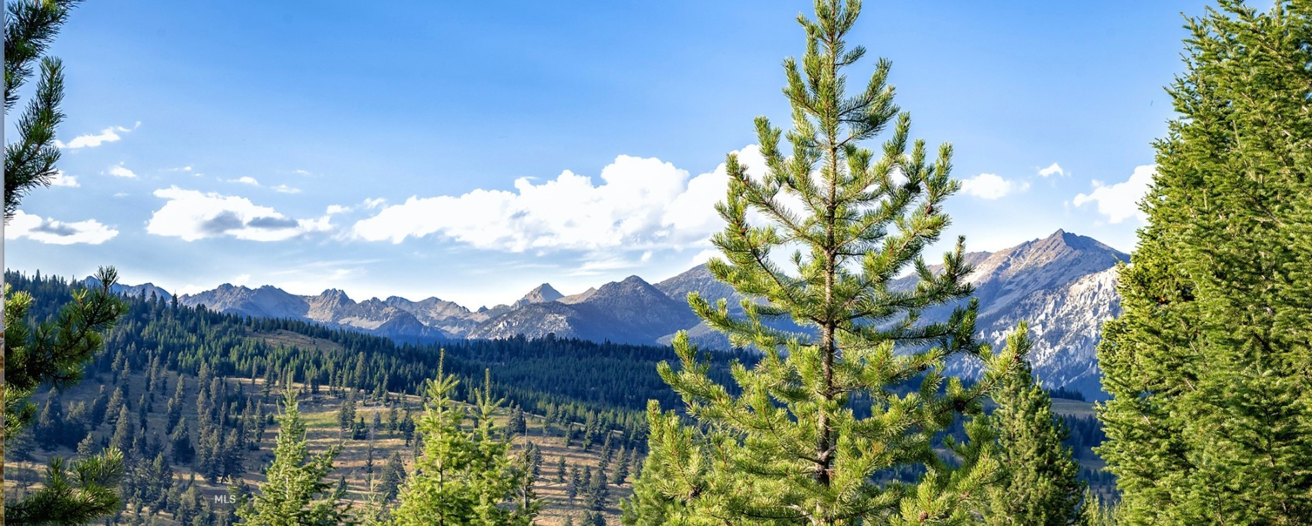 Big EZ Estates Lot 27 Doolittle Drive