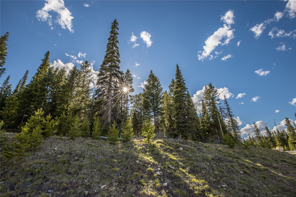 233 Wilderness Ridge