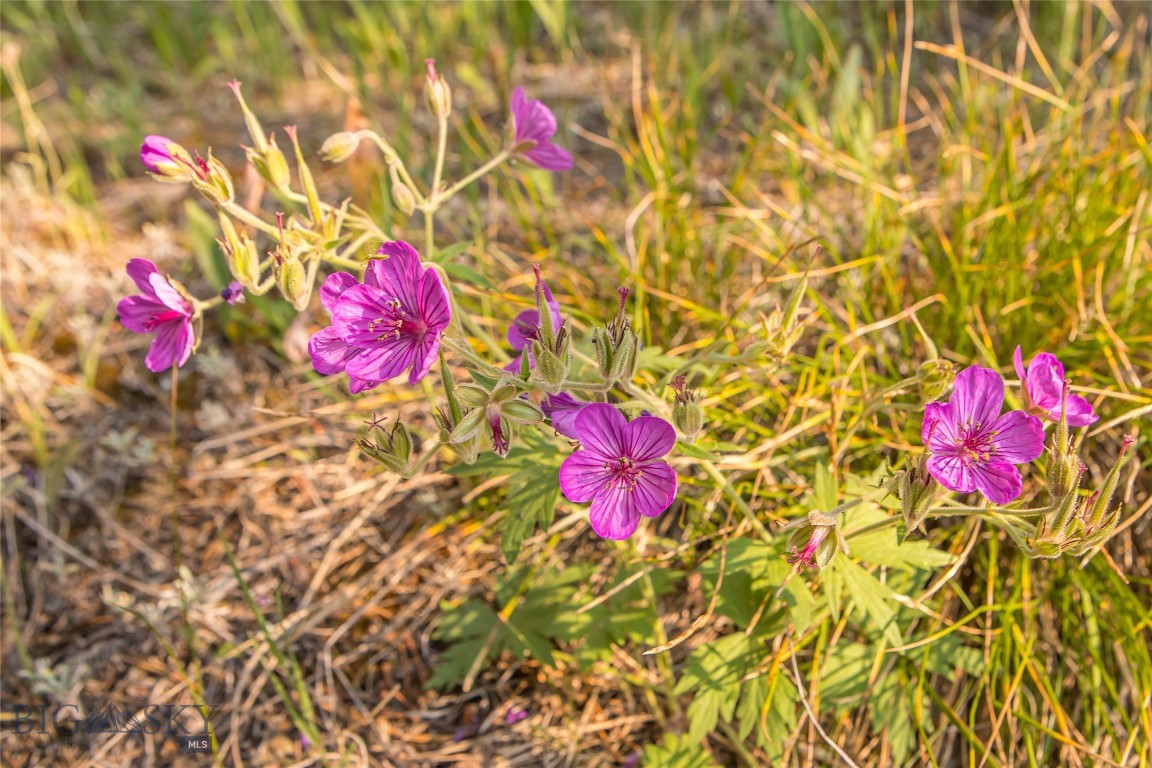 TBD Seclusion Point Lot 154