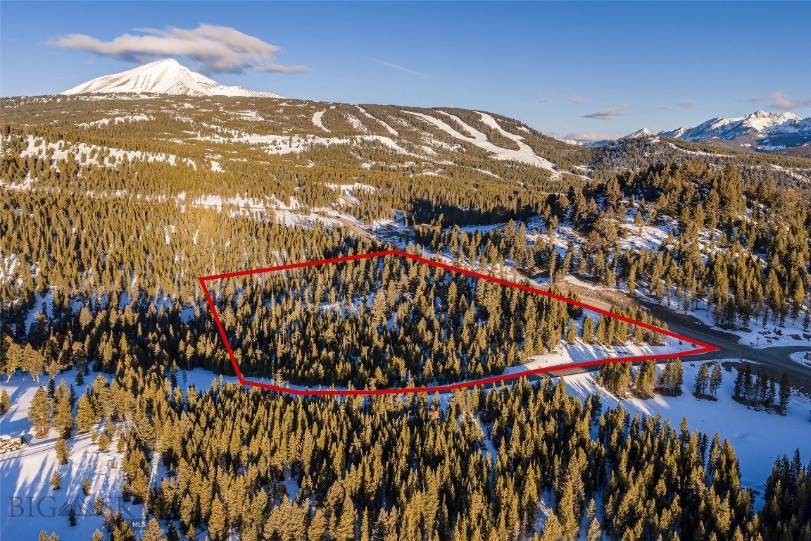 Snowy, tree-covered vacant lot outlined in red, with mountain slopes in the distance.
