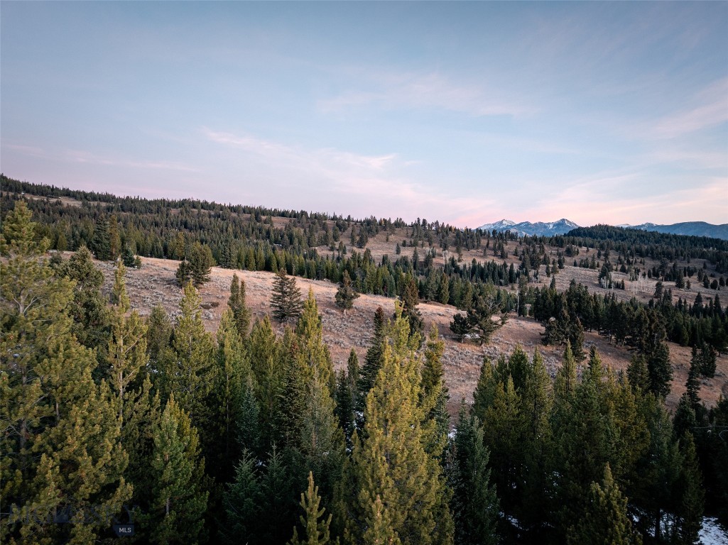 168 Charlie Russell Loop