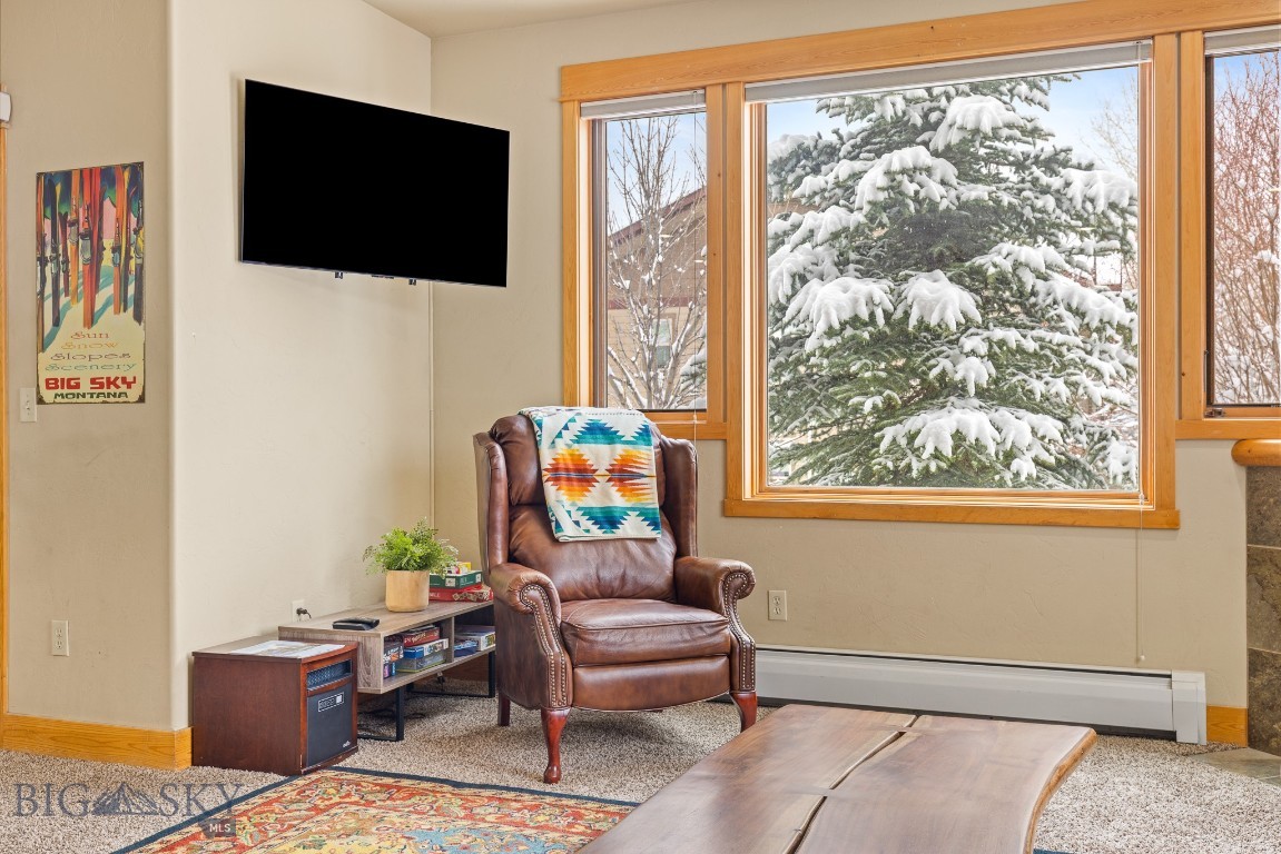 20 Limber Pine Place 1