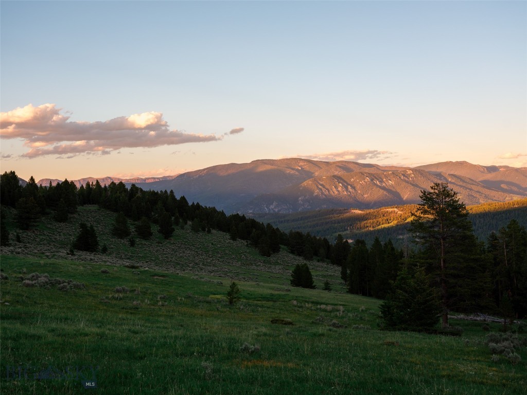TBD Eagle View Trail, Ski Tip Glade Lot 16