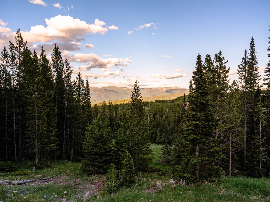 TBD Eagle View Trail, Ski Tip Glade Lot 16