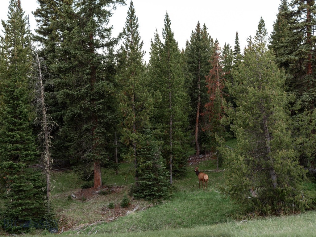 TBD Eagle View Trail, Ski Tip Glade Lot 16