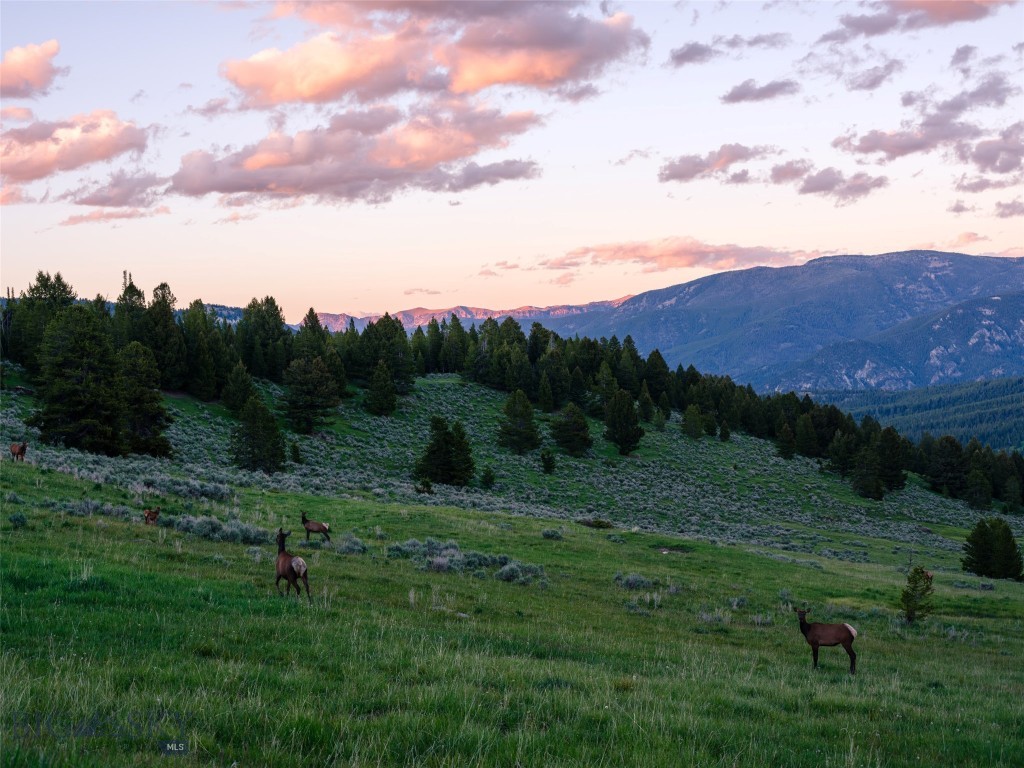 TBD Eagle View Trail, Ski Tip Glade Lot 16
