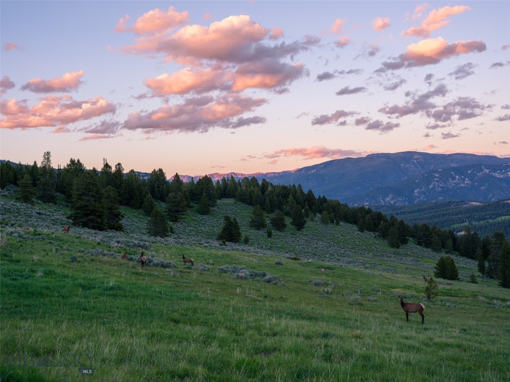 Lot 83 Elk Valley Road