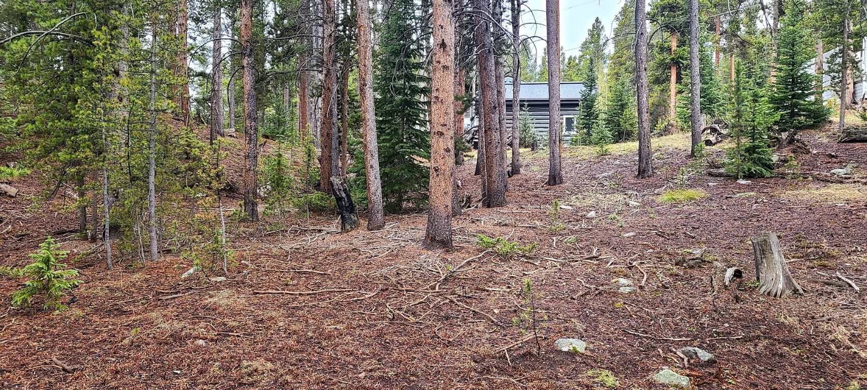 189 Gold Nugget DRIVE