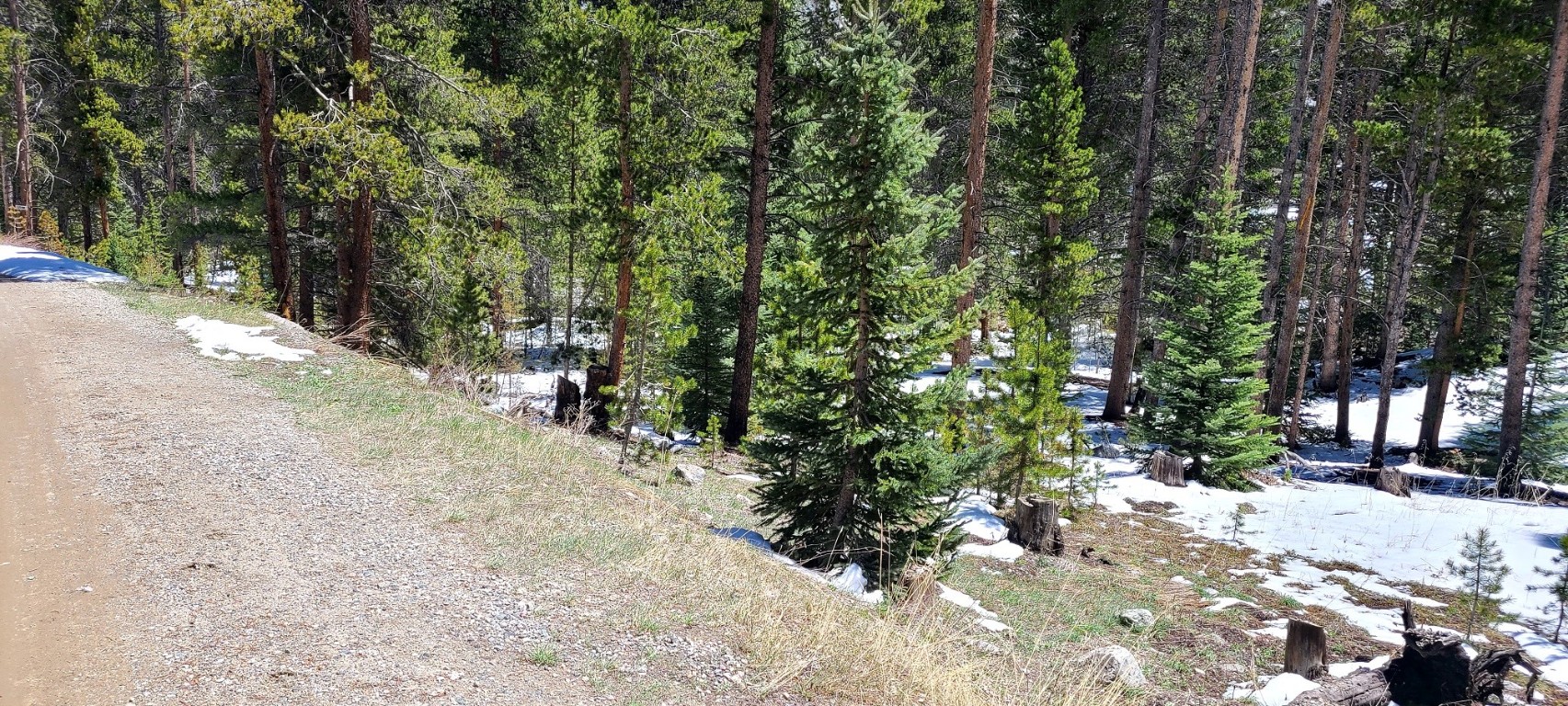 189 Gold Nugget DRIVE