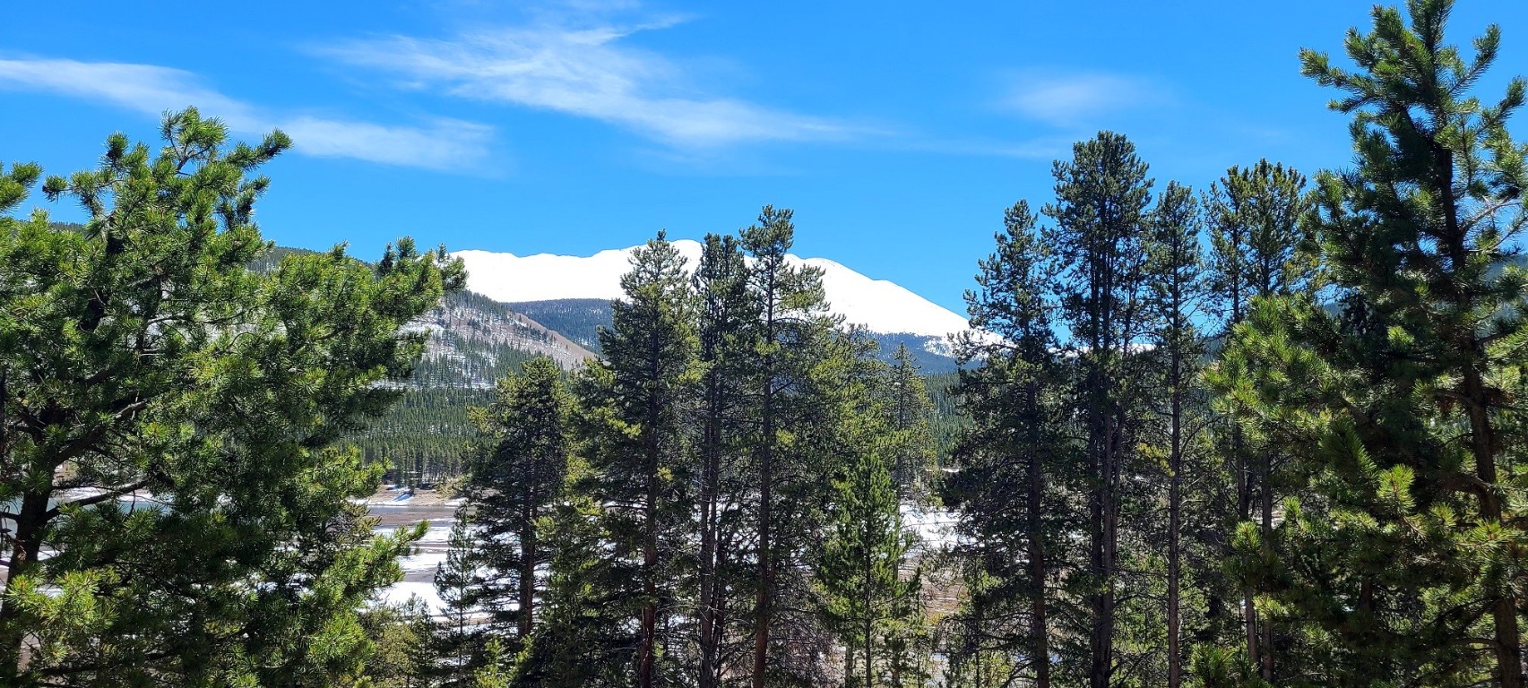 189 Gold Nugget DRIVE