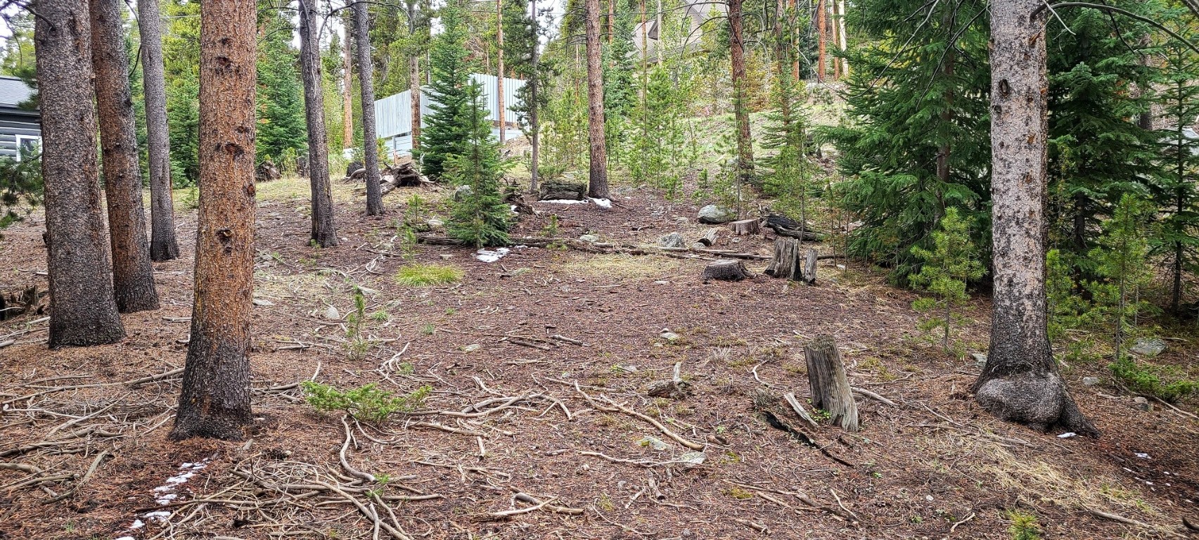 189 Gold Nugget DRIVE