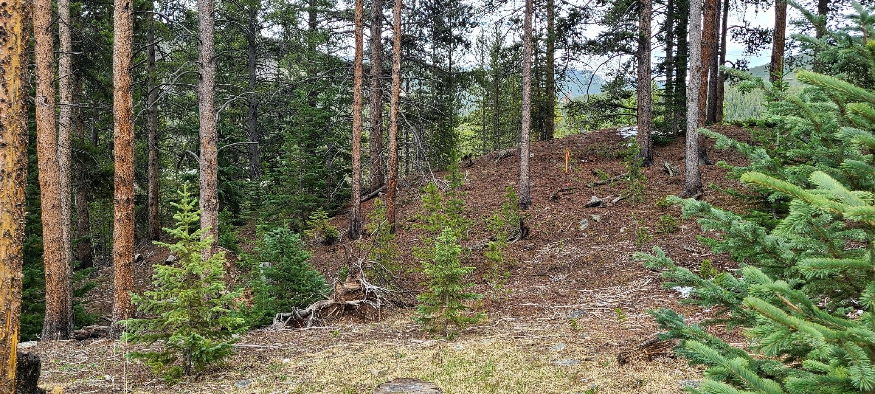 189 Gold Nugget DRIVE