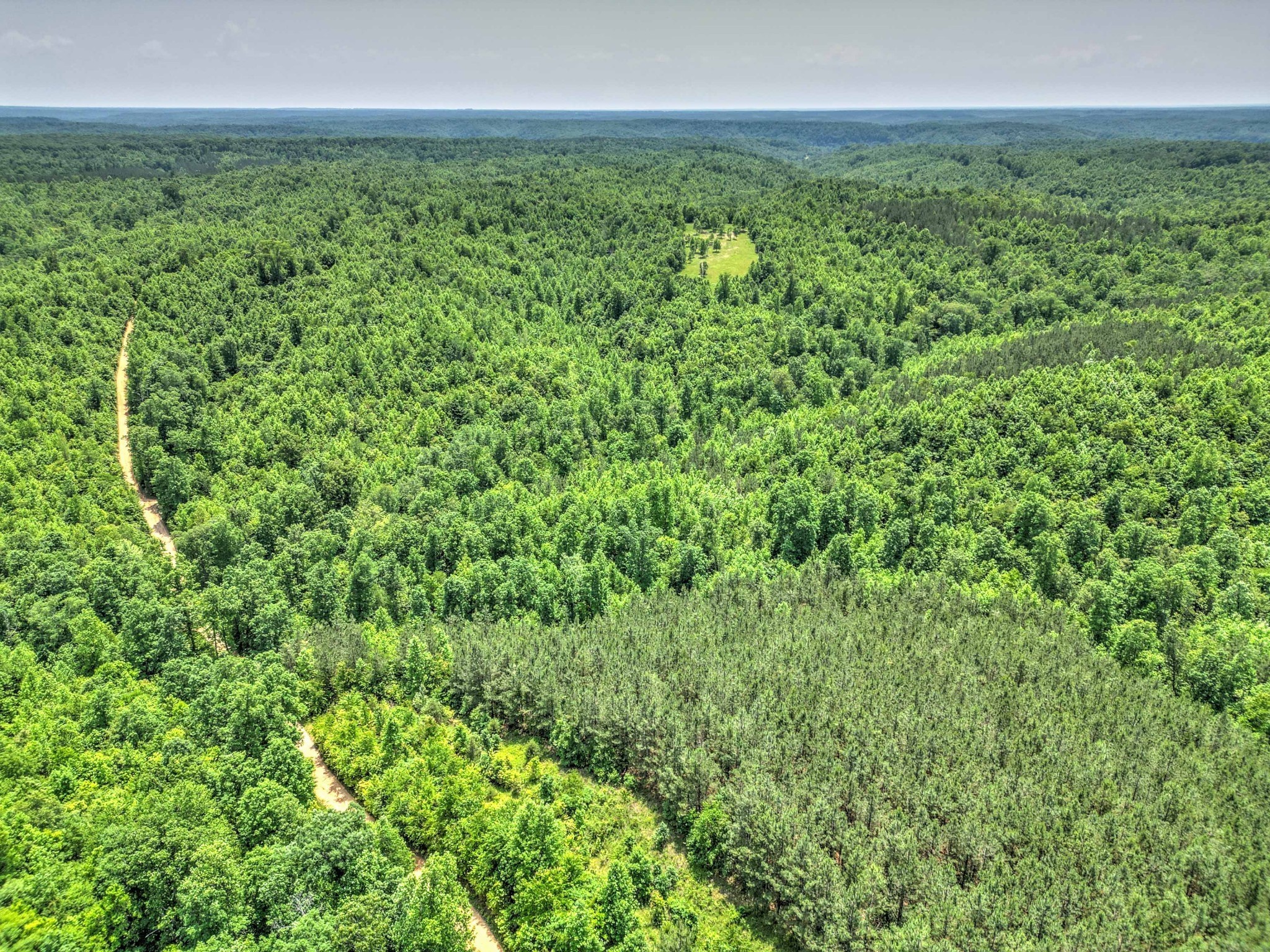 43 Ridgetop Rd