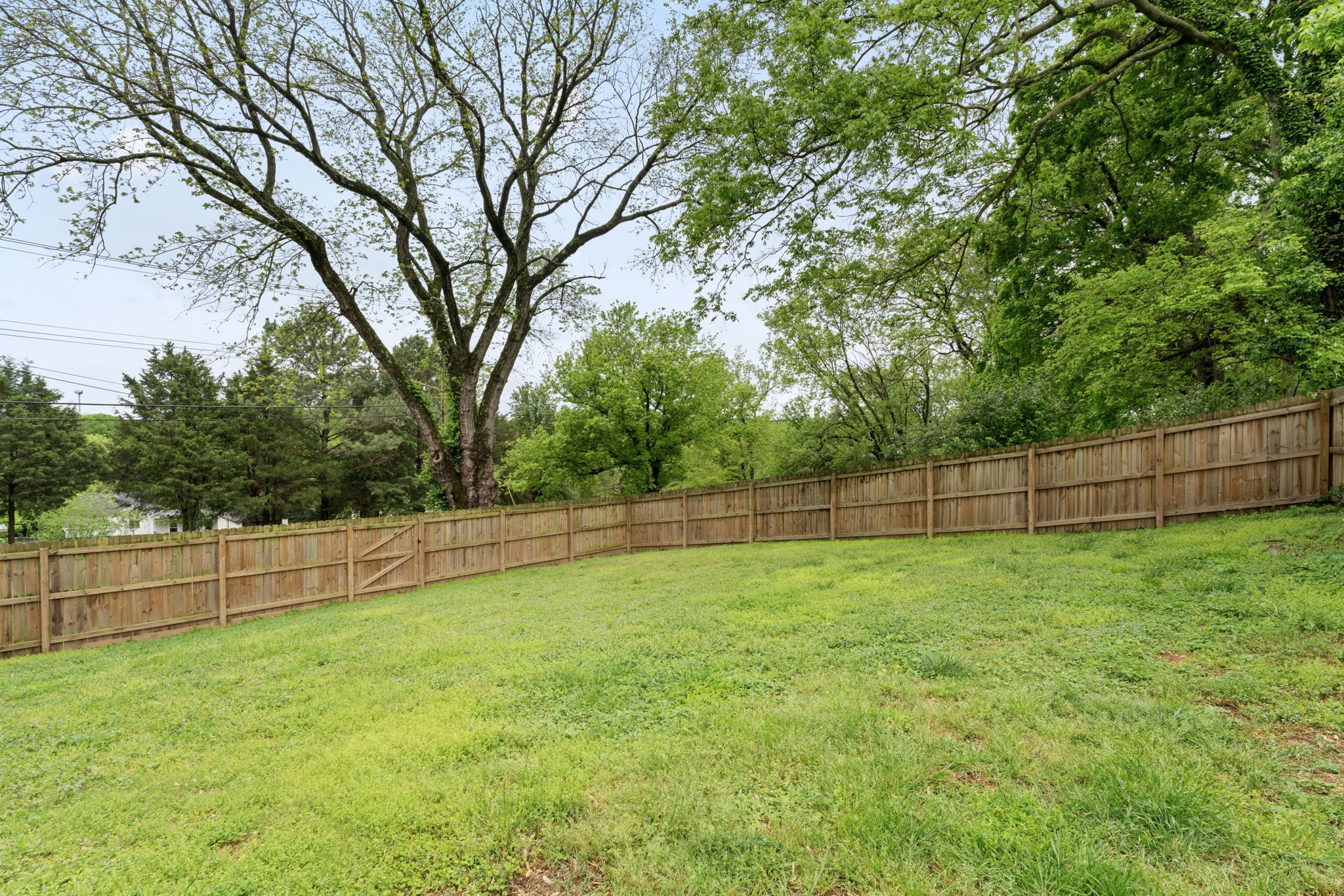 119 Dodge Dr